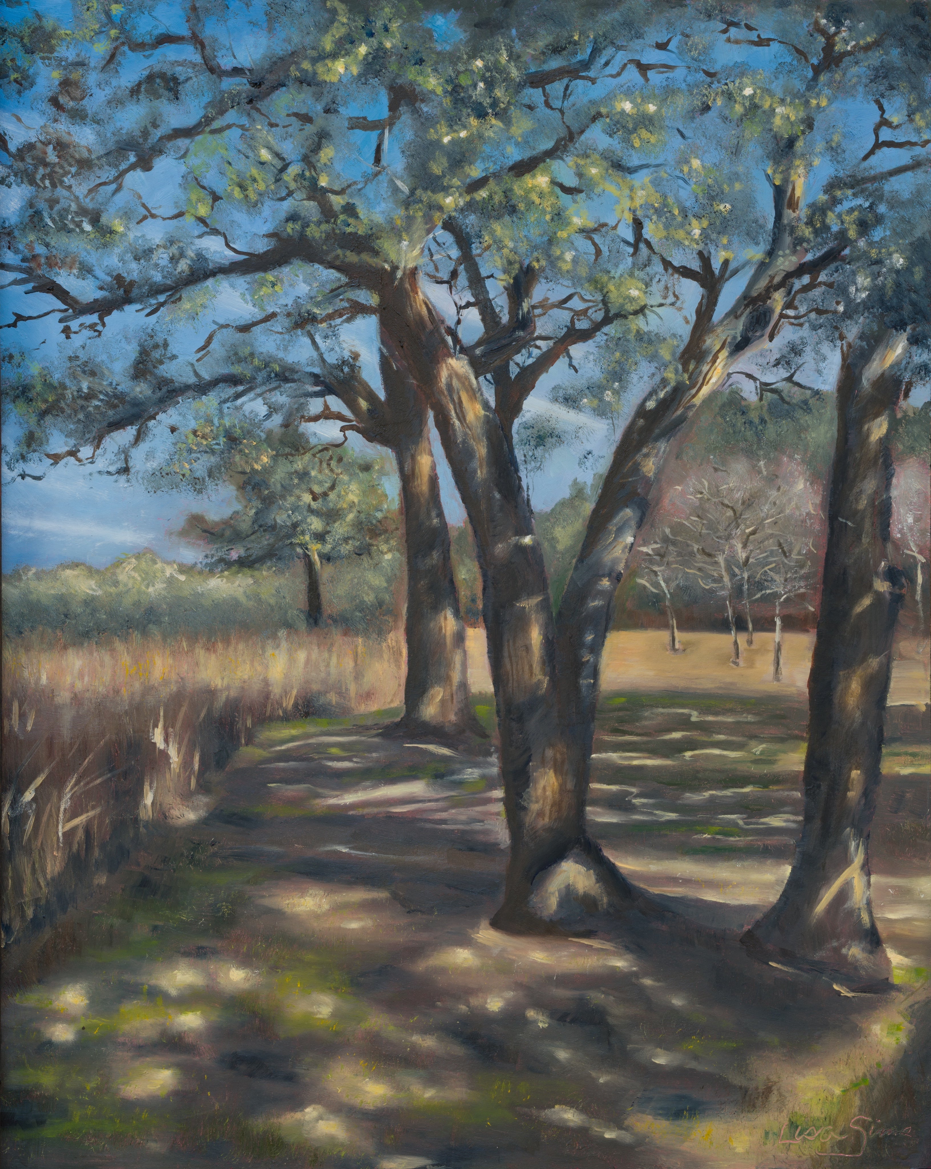 Oil painting of trees with angled trunks, blue sky through branches, and dappled sunlight creating patterns of light and shadow on the ground.
